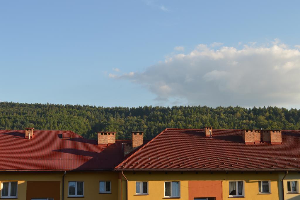 Apartament Ustrzyki Ustrzyki Dolne Exterior foto